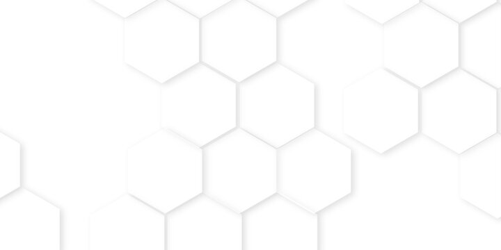 hexagon concept design abstract technology background, white texture background. hexagon abstract background .white and gray hexagon honeycomb geometric copy space,