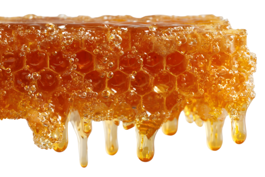 Golden honeycomb dripping with fresh honey for natural food concept and design