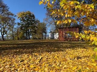  Panorama of a sunny day, wide banner, panoramic view. travel vintage perspective outside shine photo warm illuminated central forrest shade country footpath september branch destination peaceful alle