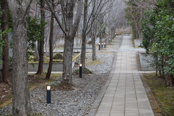 散歩道
