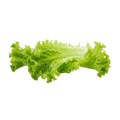 Crisp lettuce isolated on black background offering fresh and vibrant green hues for culinary