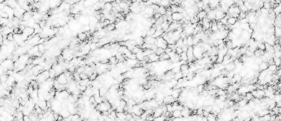 Classic White Marble with Black Veins Texture background