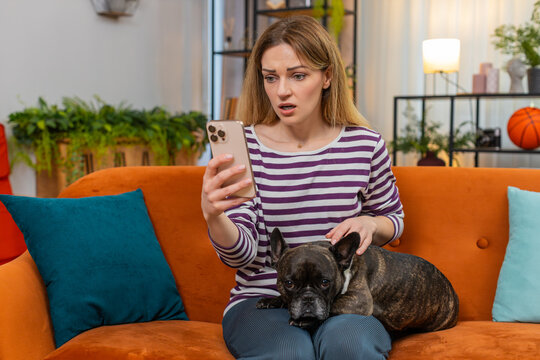 Middle-aged woman with French bulldog at home reads crisis news on smartphone face shows worry sigh and pause. Girl dog on sofa sits near gives comfort warm cuddle loyal friend calm touch caring bond