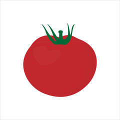 Vector of red tomato