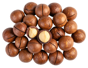 Close-Up Cluster of Macadamia Nuts, Textured and Isolated