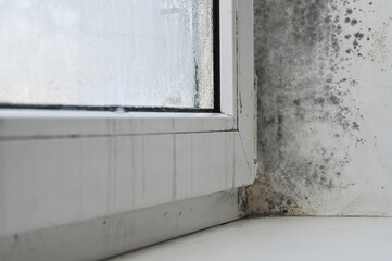 Closeup of a window corner with condensation buildup and mold growth. damp area. window combination of condensation and mold. moisture accumulation