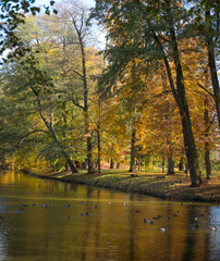 Pałac, Park, Mała Wieś, Poland, mazowieckie , jesień, kolory