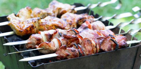 Grilling delicious shashlik on mangal during backyard gathering in warm weather