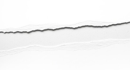 Torn paper edges isolated on white background, creating a textured frame, perfect for creative projects
