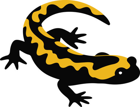 Stylized black and yellow spotted salamander illustration