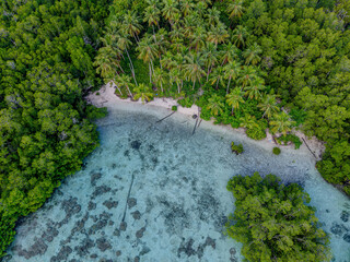 Aerial view of a tropical beach lined with palm trees and mangroves beside clear turquoise water in Raja Ampat, Indonesia.  
