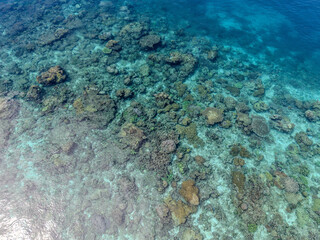 Aerial view of vibrant coral reef under clear turquoise water in Raja Ampat, Indonesia.  
