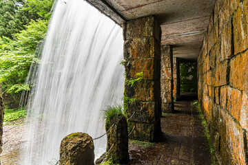 Naklejka premium waterfall in the forest