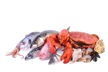 Fresh seafood isolated