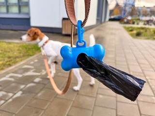 Pet Excrement Bags on a Leash. High quality photo
