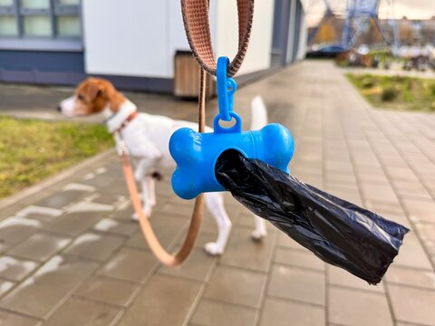 Pet Excrement Bags on a Leash. High quality photo