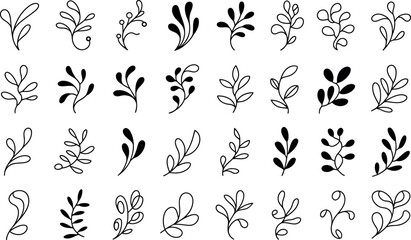 Elegant floral branch and leaves vector illustrations set black and white