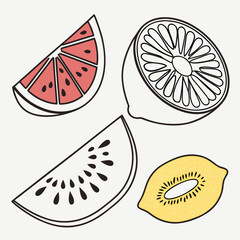 Illustration of citrus fruit slices