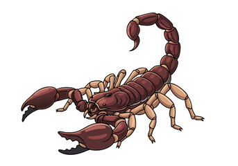 Detailed illustration of a scorpion with pincers and a tail, a representation of arachnids