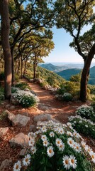 Obraz premium A Winding Forest Path Lined With White Daisies And Towering Trees Bathed In Golden Sunlight With Distant Townscape And Blue Sky