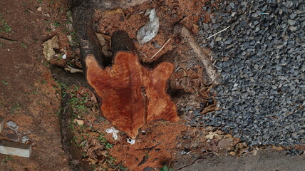 Discarded rug lies on the ground near gravel and dirt, creating a scene of neglect and abandonment in an outdoor environment.