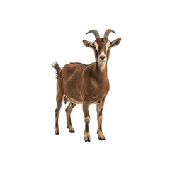 Fototapeta premium Goat with transparent background Generative AI