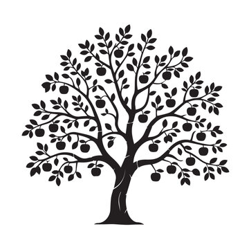 Black and White Apple Tree Silhouette