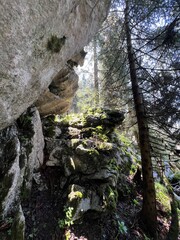 Strict nature reserve White rocks (Croatia) - Strenges Naturschutzgebiet Bijele Stijene (Kroatien) - Strogi rezervat prirode Bijele stijene, Ogulin (Gorski kotar, Hrvatska)