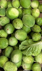 watermelons at the market