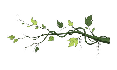 branch with green leaves