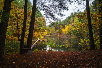 Dolina Żabnika in Jaworzno, Poland © LCH photo gallery
