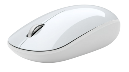 Computer mouse on white background