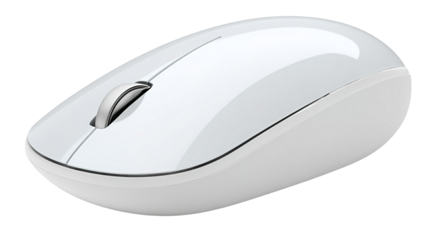 Computer mouse on white background