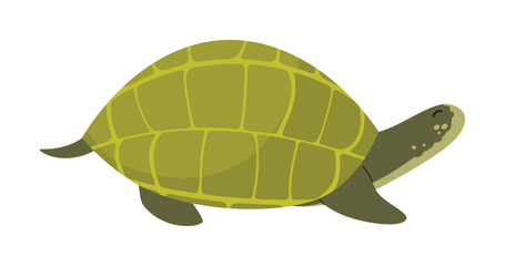 Cute green sea turtle swimming on white background, perfect for Thailand animal themes, isolated vector illustration