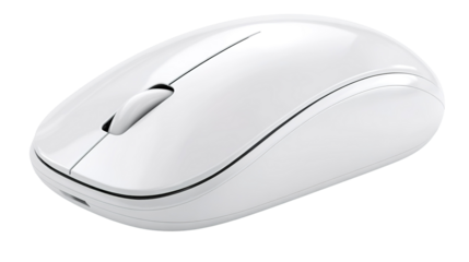 Computer mouse on white background