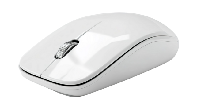 Computer mouse on white background