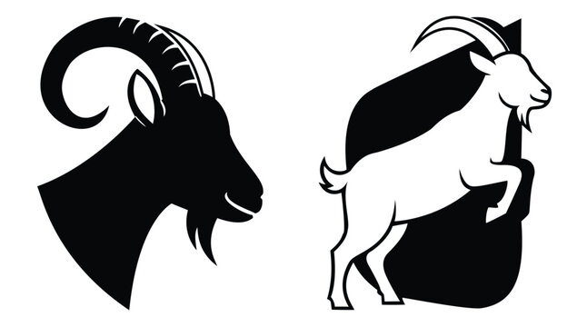 Two billy goat and mountain goat illustrations for mascot and animal logo design element