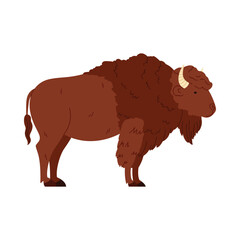 Cartoon isolated European bison representing Poland wildlife and national animal vector illustration