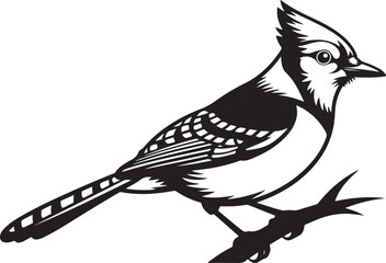 Obraz premium Black and white graphic illustration of a blue jay perched on a branch bird animal