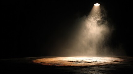 singer. A dramatic stage illuminated by a smoky spotlight, creating an atmospheric and moody scene. event programs, museum guides, designed for cultural heritage projects and event programs.