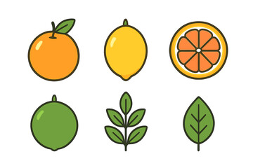 Fresh citrus fruits assortment including orange, lemon, lime, and green leaves