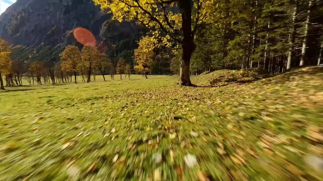 High-speed FPV drone fligh skimming over autumn leavs.