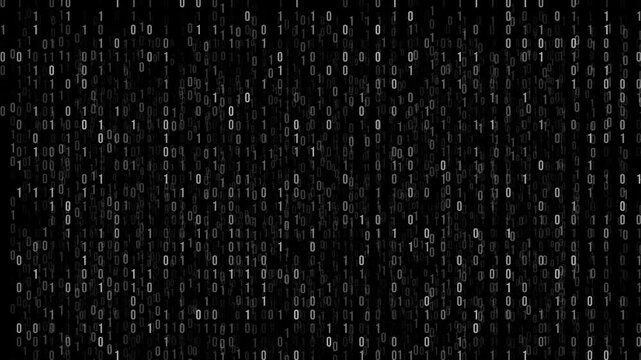 Seamless loop of binary digits forming a virtual wall of data. Excellent for use in sci-fi visuals, programming videos, or tech-themed intros.