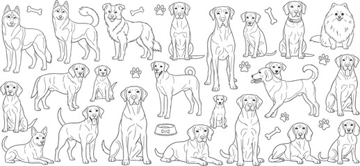 Dog breed line art, sitting and standing dogs, pet illustration, paw print, bone icon, black and white vector drawing