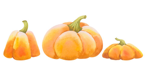 Set of orange watercolor pumpkins. Hand-painted pumpkins for Thanksgiving and Halloween. Watercolor elements on a white background for Harvest Festival and farmers market decorations.