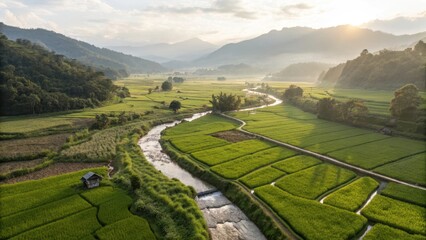 Drone view of rice terrace fields in a valley morning light