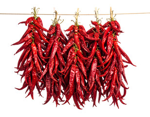 Hot chili peppers hanging in a group for traditional drying