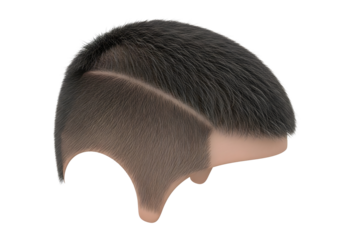 Close up of a man s haircut with a fade and sharp line isolated on transparent background