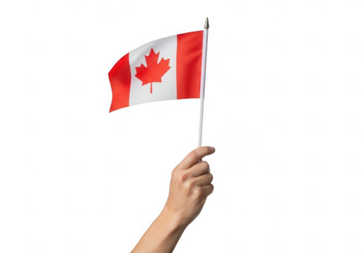 Hand holding a canadian flag waving in the wind isolated on transparent background, symbol of national pride and identity