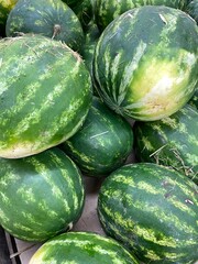 Watermelons displayed at a market stall, showcasing fresh produce and healthy eating concept